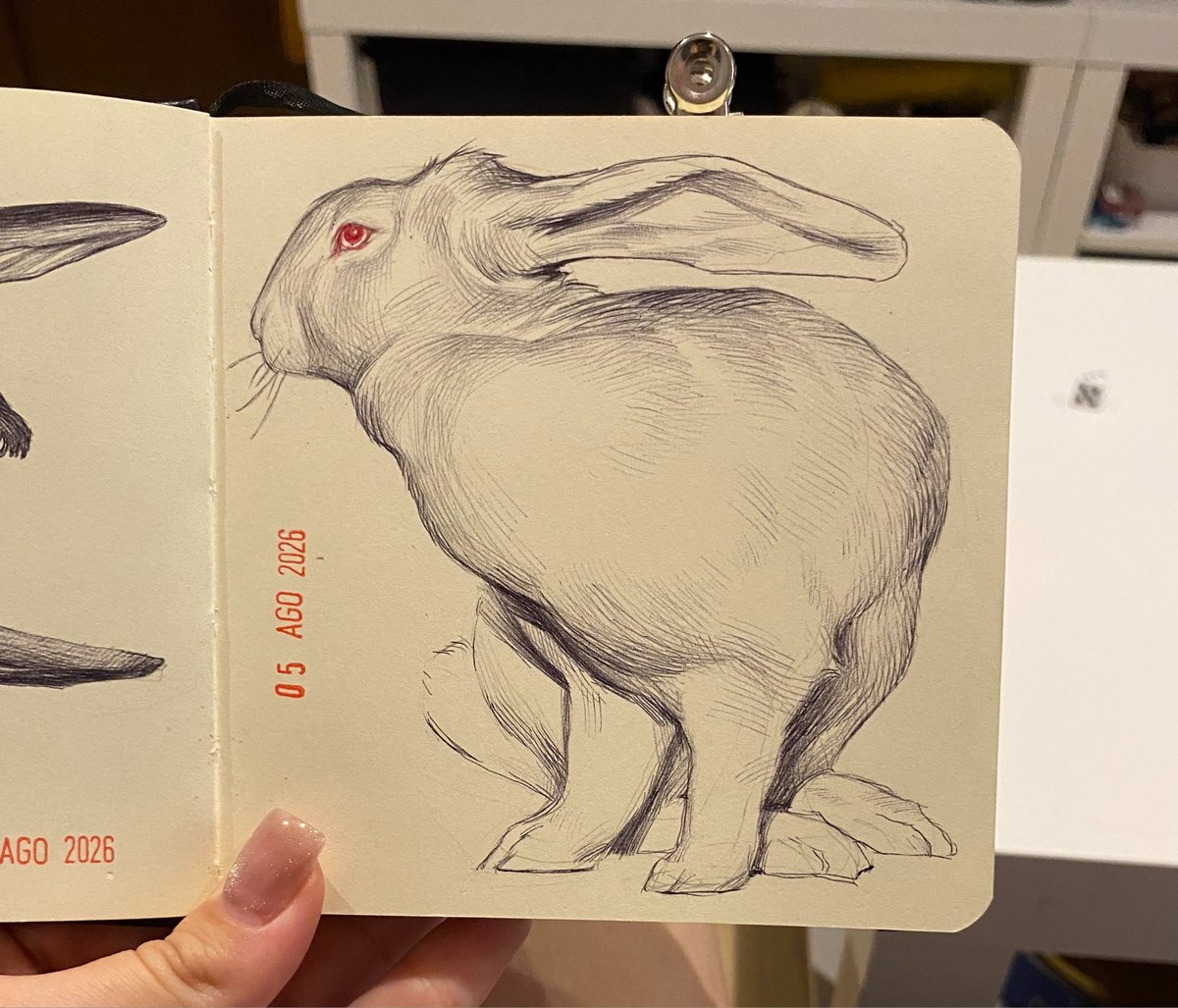DPospielova's tweet photo. 🐇 https://t.co/UmtkQnvXLo