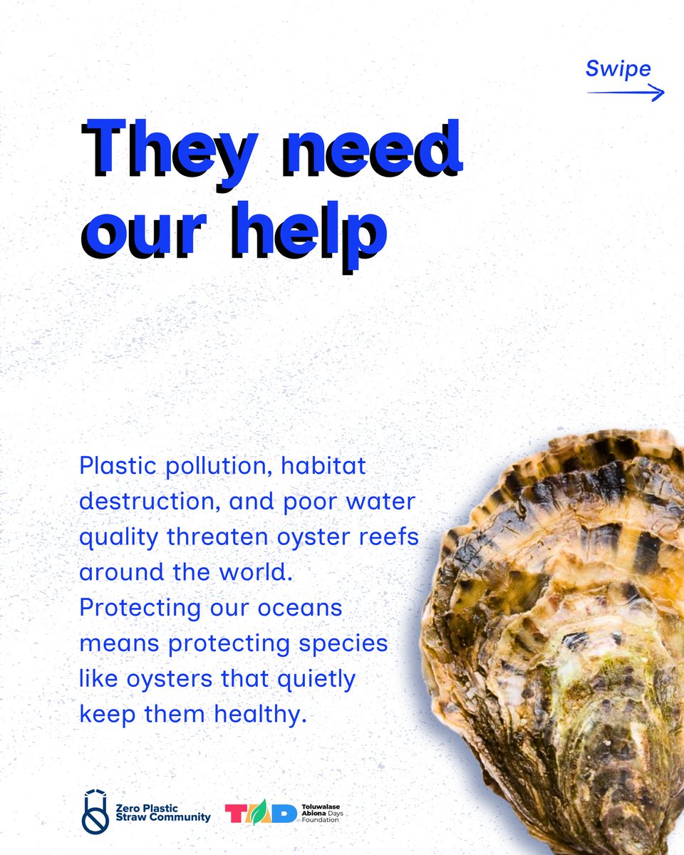 ZPSCommunity's tweet photo. World Oyster Day 

#worldoysterday
#oyster https://t.co/GFbENMq1xD