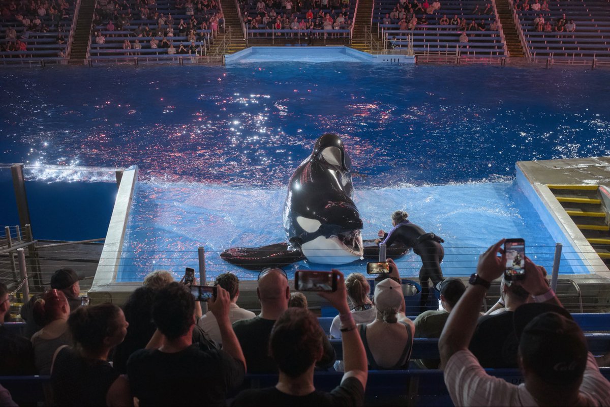 APCOIntl's tweet photo. We dove into the fun at the #APCO2026 Block Party at SeaWorld San Antonio! From thrilling roller coasters to sea lion and orca shows, we had a whale-y amazing time. Share your photos using #APCO2026. https://t.co/1t7tg9ObSt