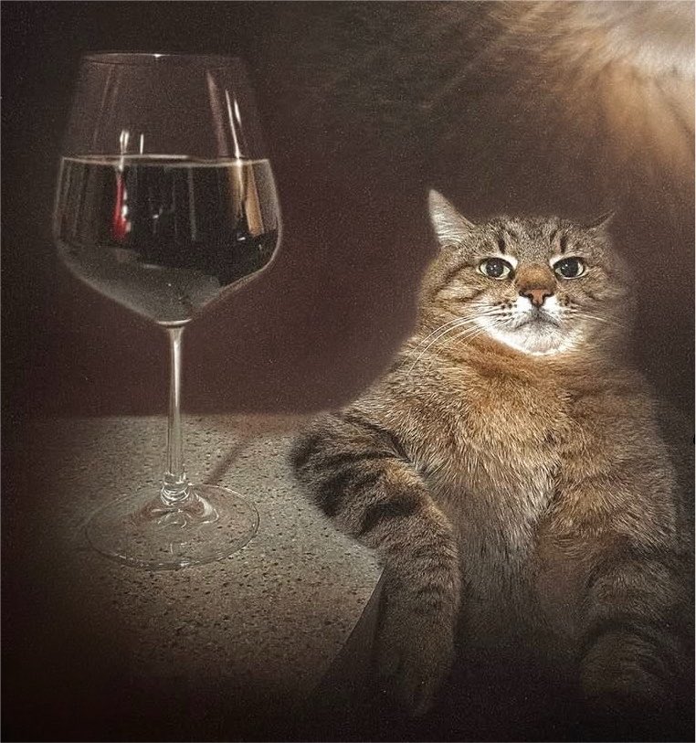 heytherejau's tweet photo. fiz um martini que tem mais pelo que meu saco… eh sempre uma felicidade ter gatos eles estao presente em todos os momentos https://t.co/ZVcJtc5ROS