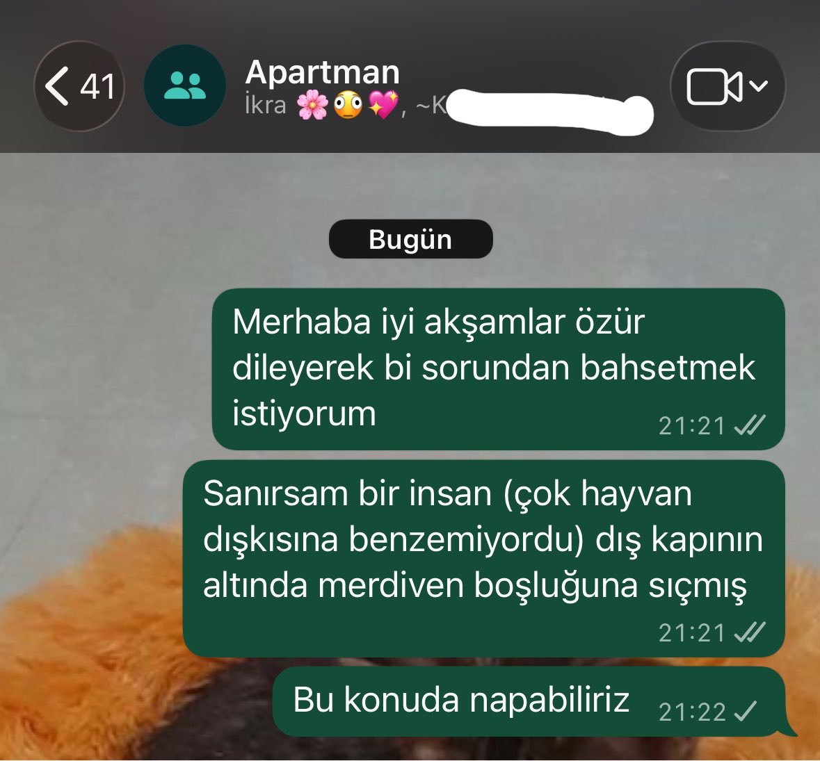catdamnitu__u's tweet photo. merhaba ıyı aksamlar https://t.co/uAlE1BydZ7