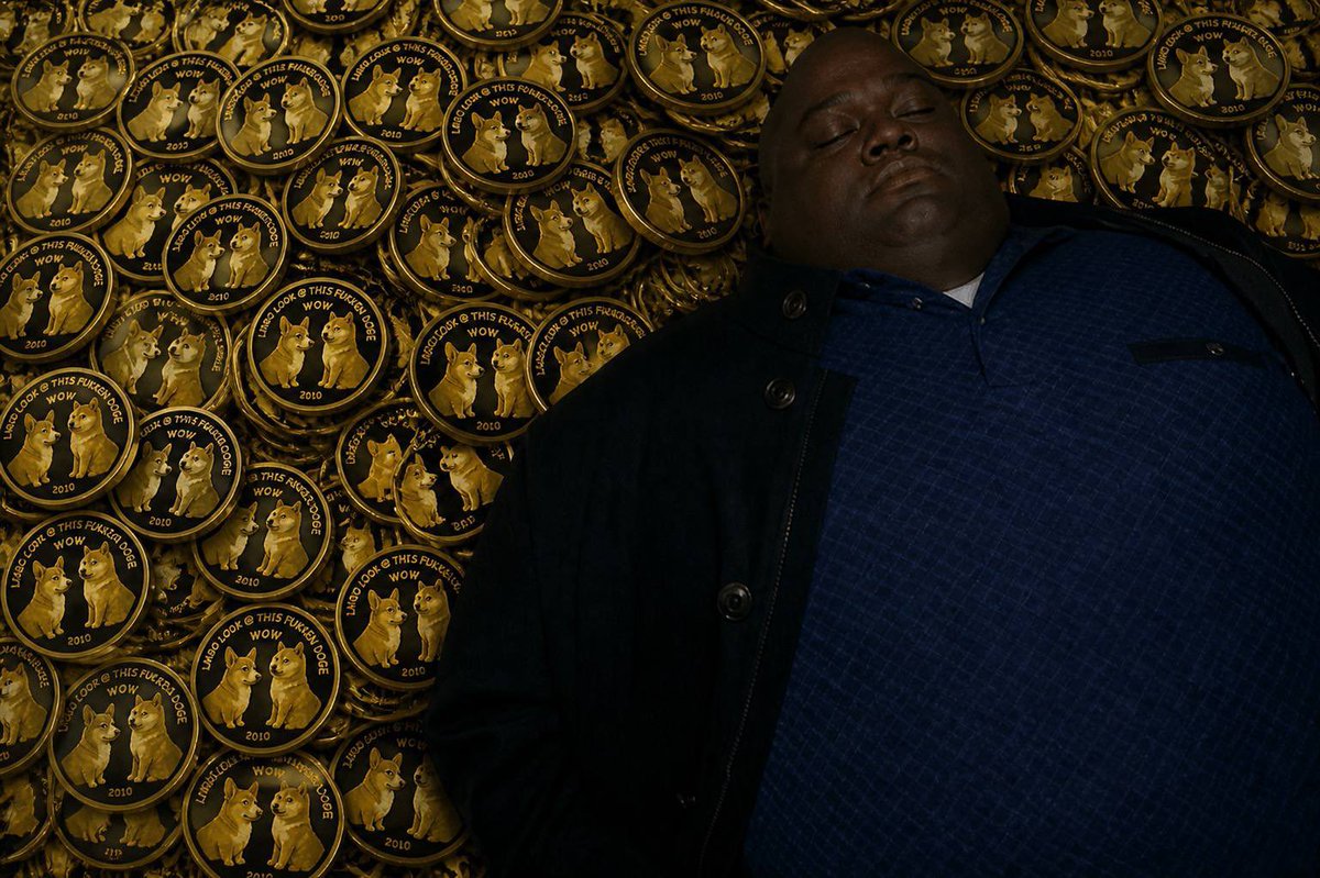 goldrobesalpha's tweet photo. Literally me knowing I can sleep comfy at nights holding $OGDOGE https://t.co/hewyzzlMEI