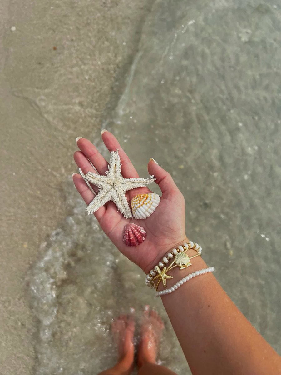 Daisyaurax's tweet photo. starfish https://t.co/IMcNje6zhT