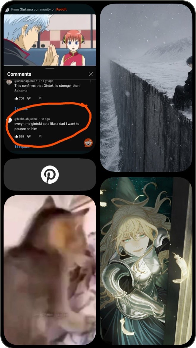 عبدالرحمن 🕸️ tweet media