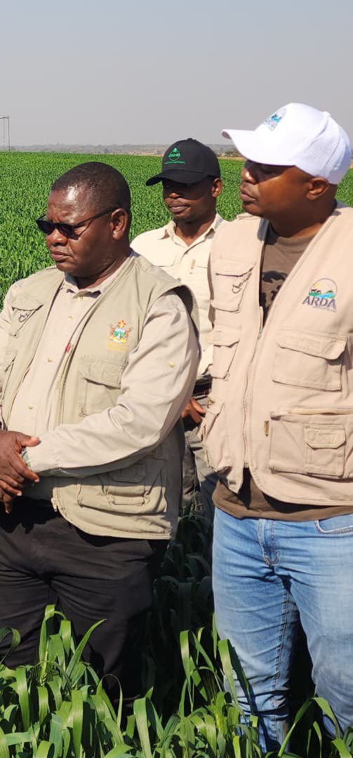 PoteDior's tweet photo. Wheat Field Day at Pula Estates, Barwick (Mazowe District), alongside the Permanent Secretary @obertjiri in the @MoLAFWRD_Zim , ARDA CEO, GMB CEO @BadaraiEdson , banks, farmers and other key stakeholders.

Together, we are strengthening partnerships, financing, quality input supply and market linkages to drive Zimbabwe’s transition from the Breadbasket of Africa to an Agro-Industrial Powerhouse.

We’re committed to delivering expert agronomy to boost productivity and food security.

#Wheat #Zimbabwe #Agriculture #FoodSecurity #AgroIndustrialisation