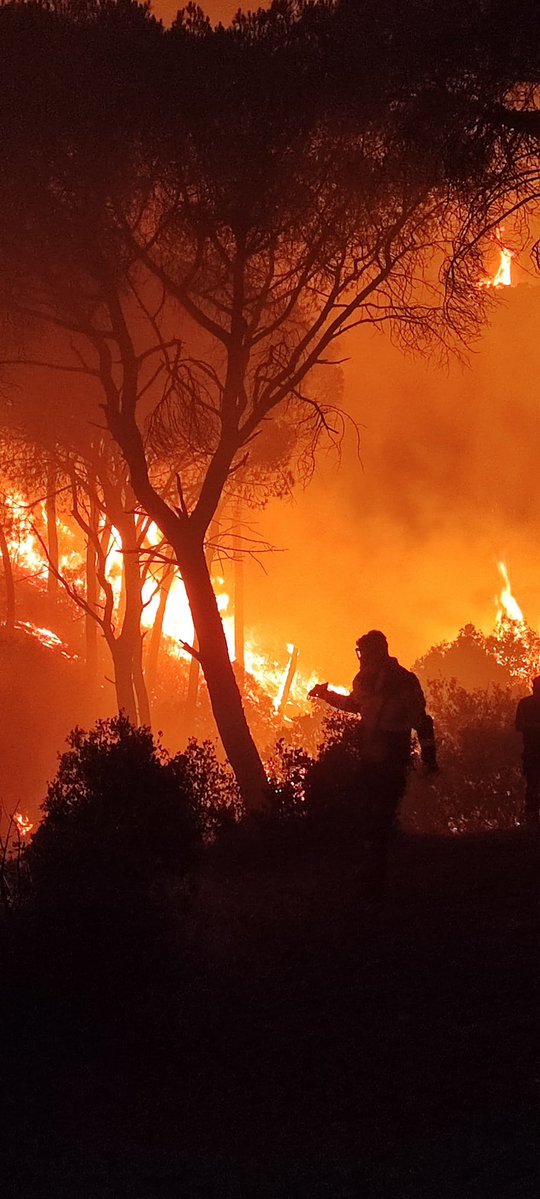 alcorconbombero's tweet photo. 🔥 Un día más frente al fuego

Todo nuestro ánimo y reconocimiento a los bomberos, brigadistas, agentes forestales y demás efectivos que trabajan sin descanso en los incendios forestales que están asolando la Comunidad de Madrid

💪 Mucha fuerza a todos.  Que acabe esta pesadilla https://t.co/TWXofT3vFf