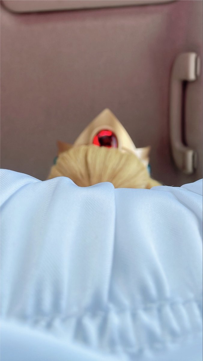 PunkMacarroni's tweet photo. 🩷 Princess Peach 🩷 https://t.co/7o707JtBYG