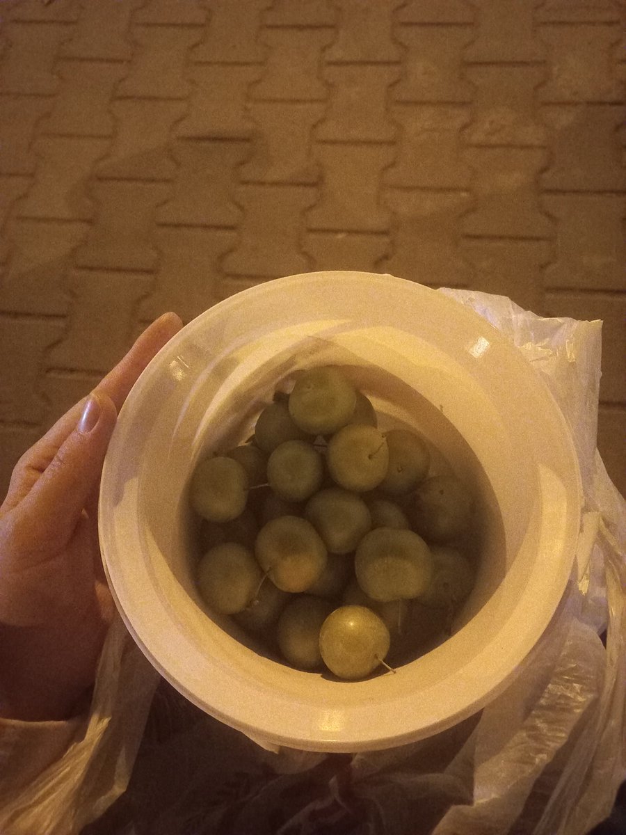 mayhos_koala's tweet photo. Yanlışlıkla baska müşterinin ürününü geçtiğim ve bu vesileyle samimiyet kurduğumuz müsterim bugün bana bir kova erik getirmiş. Gittikten sonra fark ettim ki yine başka müşterinin ürününü geçmişim https://t.co/Qb9CzfuORf