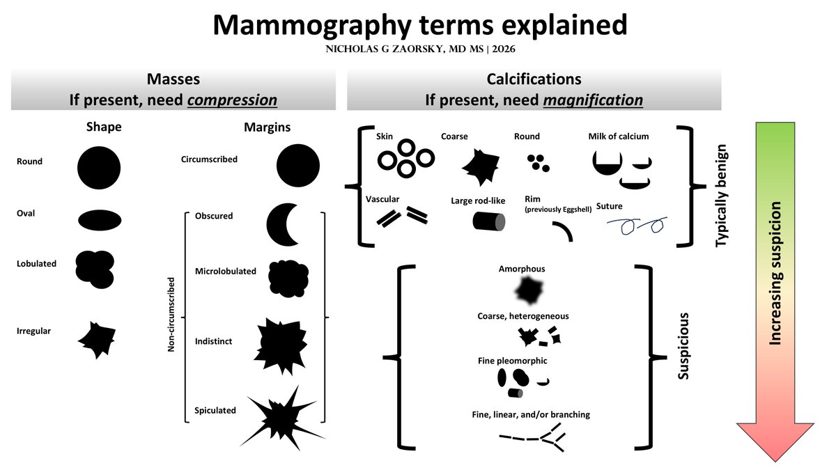 NicholasZaorsky's tweet photo. Breast cancer and mammography terms explained https://t.co/s7eKpiOXSb