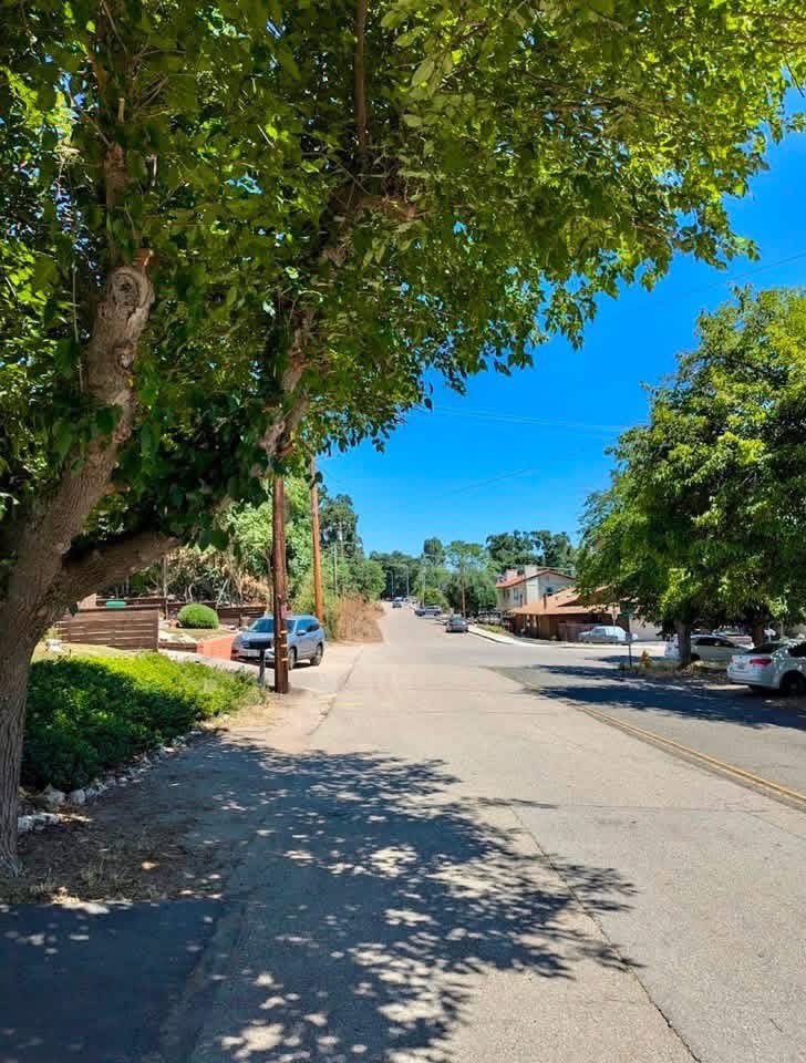 GilCasarez's tweet photo. CASAREZ &amp; SONS  
Junk Removal
☎️ 805-714-2056
casarezandsons111@gmail.com
Business Lic No. 44568

✔️ #JunkRemoval
✔️ #Landscaping 
✔️ #FenceRepair 
✔️ #Powerwashing
✔️ #PropertyCleabouts 
✔️ #TreeTrimming

#casarezandsonsjunkremoval https://t.co/Khx8Y5zzLM