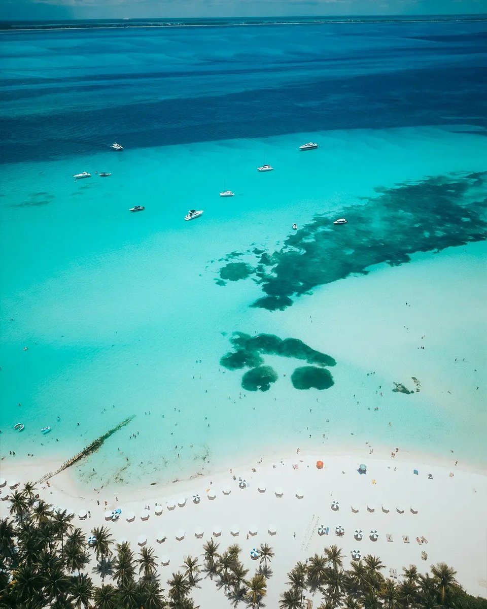 Caribe Mexicano tweet media