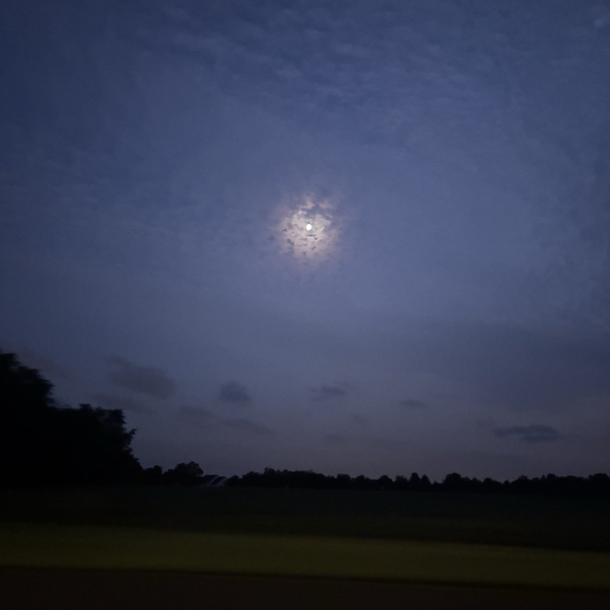 perfectwrkforce's tweet photo. i love the moon https://t.co/aBFtpusDdi