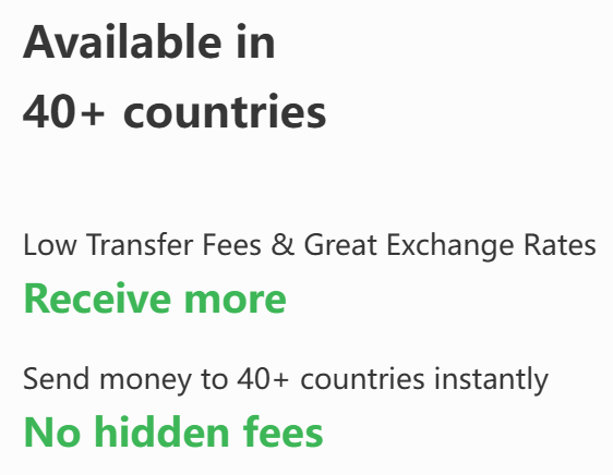 JbpRamesh's tweet photo. Global money transfer
Send faster Receive more
No Fee for the First Transaction
Available in 40+ countries

https://t.co/BOSwFIJhrm https://t.co/Cyy44bUbuZ