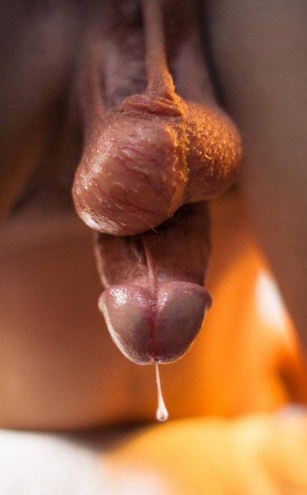 Dark_Temple666's tweet photo. Learn to surrender your body to our lord Satan your brothers and HE will thank you for it, give pleasure to your cock, Satan provided it to us to give us the only and true divine joy  
Have you jerked off to worship him today? https://t.co/SwjL9c13Sz
