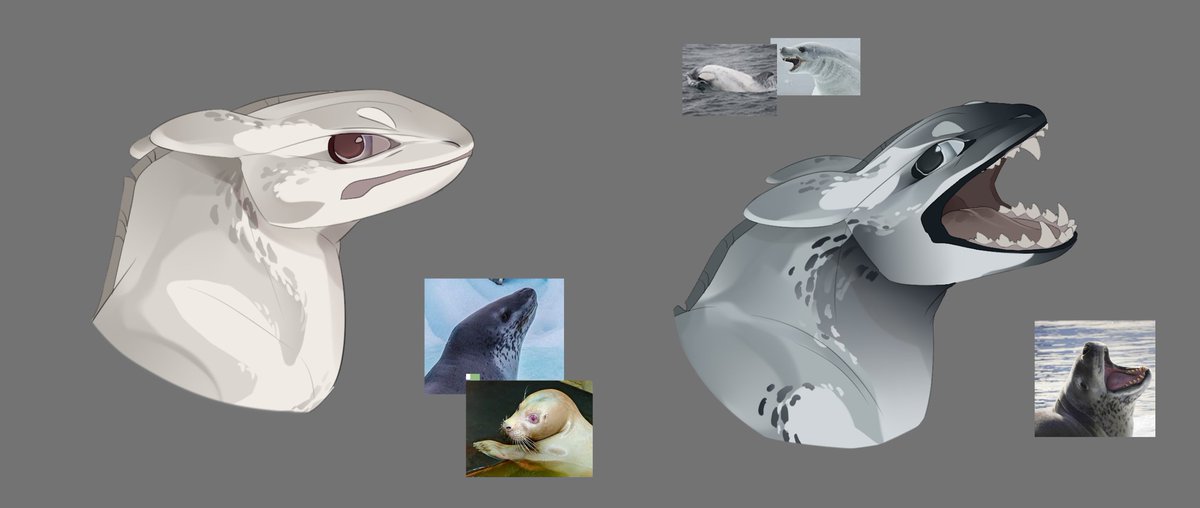 james___hf's tweet photo. I completely forgot to show you my open species based on night furies called Gelidomar/Gelmar. They're a kind of mix between a orca and a sea leopard, and I'll tell you more about them later. Just sketches

#httyd #howtotrainyourdragon #dragon #design #dragonoc #httydfanart https://t.co/XTNdzlnlbv