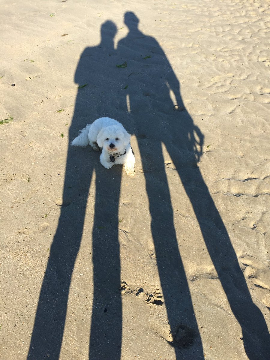 dschosaur11's tweet photo. @dregenus äh …. nein 😎🐾 https://t.co/ZGlXO40fRF