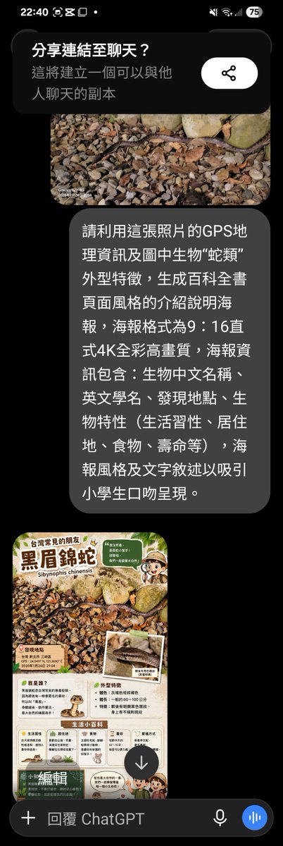 ccitdragon's tweet photo. POV：隨手拍路邊生物生成百科圖鑑

...今天帶辣媽和小小林到桃園大溪用餐，飯後去 #大溪中正公園 散步，在路人的提醒下發現路邊有一尾小蛇，匆忙拍照（沒拍到蛇頭😬）後回家想用AI查一下是什麼蛇？就順便想了生成“百科全書”風格的提示詞（如下），結果同樣提示詞 #ChatGpt 和 #Gemini 生成結果迥異？！（地點也不是 #大溪中正公園）大家比較喜歡那個版本呢😅還有應該誰生成的“蛇名”是正確的呢🤔

提升詞：
請利用這張照片的GPS地理資訊及圖中生物“蛇類”外型特徵，生成百科全書頁面風格的介紹說明海報，海報格式為9：16直式4K全彩高畫質，海報資訊包含：生物中文名稱、英文學名、發現地點、生物特性（生活習性、居住地、食物、壽命等），海報風格及文字敘述以吸引小學生口吻呈現。

#ChatGpt
#Gemini 
#大溪中正公園
#黑眉錦蛇
#黑腹遊蛇