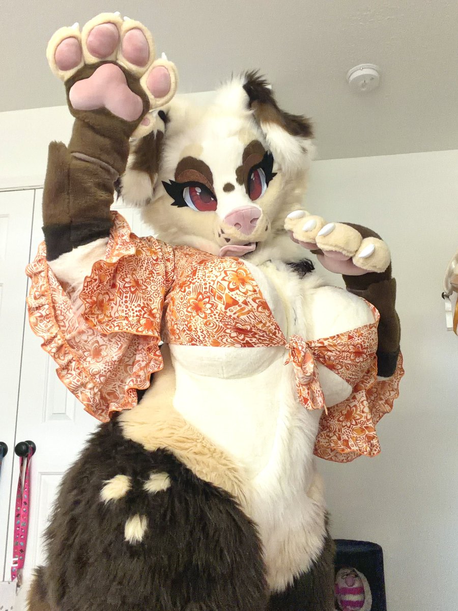 misqybun's tweet photo. Wanted to try and see if I could put my floral top on over my suit! Turns out it did actually work!! 🌼💛
#fursuit #fursona https://t.co/ftYLUfQu3e