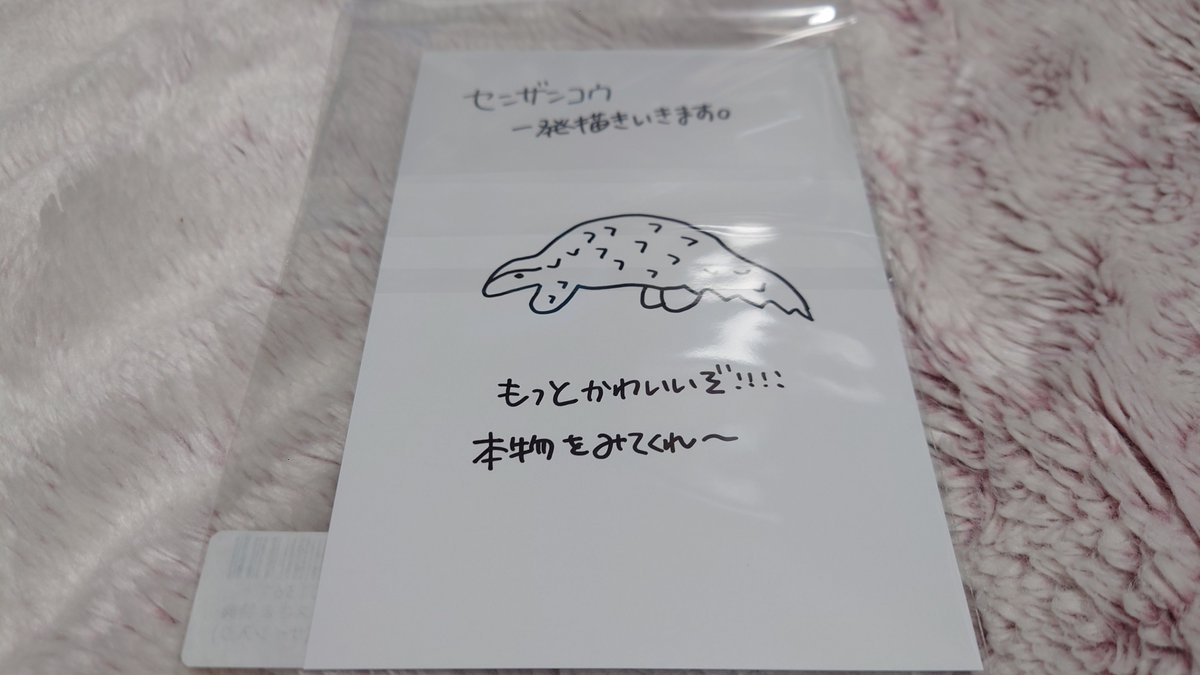 和泉守兼定 tweet media