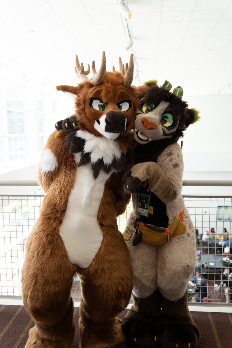 Deergineer 🦌🐉🔜 MP, MFF tweet media