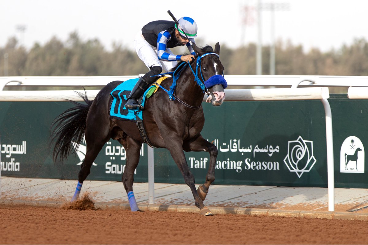 JockeyClub_SA's tweet photo. نتيجة الشوط الثاني | الحفل 1

◻️ الفائز: سيف السنيدي
◻️ المالك: إسطبل عذبة للسباقات
◻️ المدرب: مصطفى الموسى
◻️ الخيال: محمد الحبيب
◻️ المسافة: 1200م

#نادي_سباقات_الخيل
#موسم_سباقات_الطائف https://t.co/LarutaCaBV