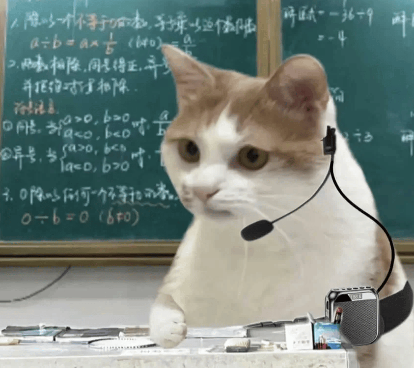 SamualJudkv9's tweet photo. Just realized my presentation’s key chart accidentally had a cat meme as a background… my prof zoomed in 3x and asked if we were “analyzing cat purr productivity” ， https://t.co/X8npeCbMr3