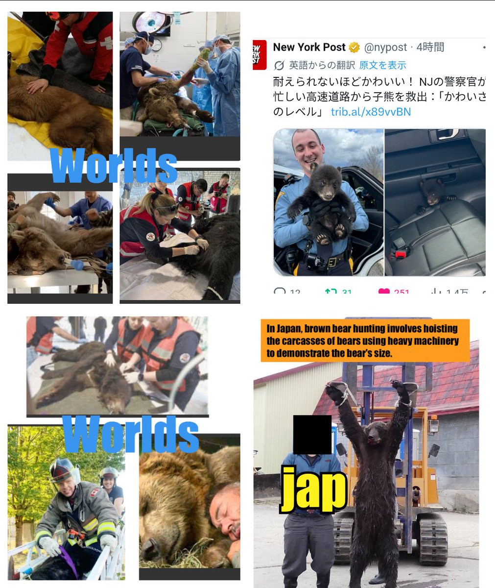 21senyes's tweet photo. @Moto3_99 子熊の目潰し��て英雄気取りの日本人なんだもの、熊に虐待の限りを尽くしてるわよ。
熊を残虐に殺戮している一部の日本人は世界的に罰せられるべきだわ。 https://t.co/YXCRNij4jf