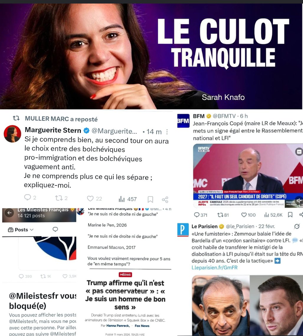 i_decrion's tweet photo. 100% des soit-disant influenceurs qui se prétendent « Plus radicaux que le RN », sont en train d'appeler les électeurs à s'abstenir en cas de duel Marine/Mélenchon.

Il faut croire qu'ils suivent tous la consigne de leurs gourous, le trouple libertin-conservateur Zemmour/Knafo/Messiha...
Comme je n'arrive plus à identifier un seul « influenceur patriote », pouvez-m'aider à en trouver ?

Avez-vous des noms de véritables militants anti-immigration massive ?
Je ne trouve que des brouteurs de patriotes qui pleunichent à propos d'immigration, et en même temps qui appellent à voter Macron/Mélenchon ou à s'abstenir en cas de duel avec le RN. Le culot tranquille, quoi !