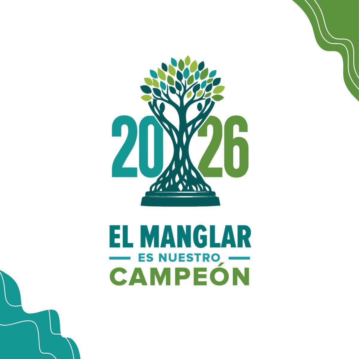 cnaecuador's tweet photo. Cuando llegan las lluvias intensas, tormentas o eventos como #ElNiño, ¡el manglar entra a la cancha para proteger comunidades y medios de vida!

🌱Conservarlos es fortalecer una de las mejores defensas naturales frente al #cambioclimático.

#ElManglarEsNuestroCampeón #GMAEcuador https://t.co/BTH1dp7Guf