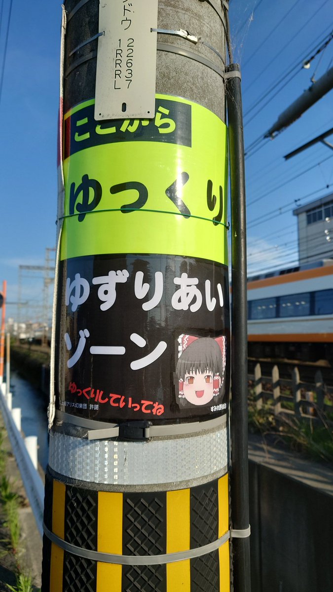 五最 tweet media