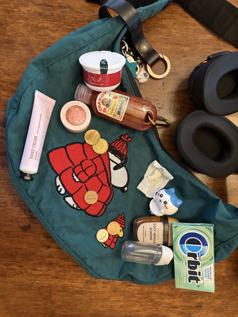 TheTrailmixer's tweet photo. #whatinmybag https://t.co/LrymwJMEtJ