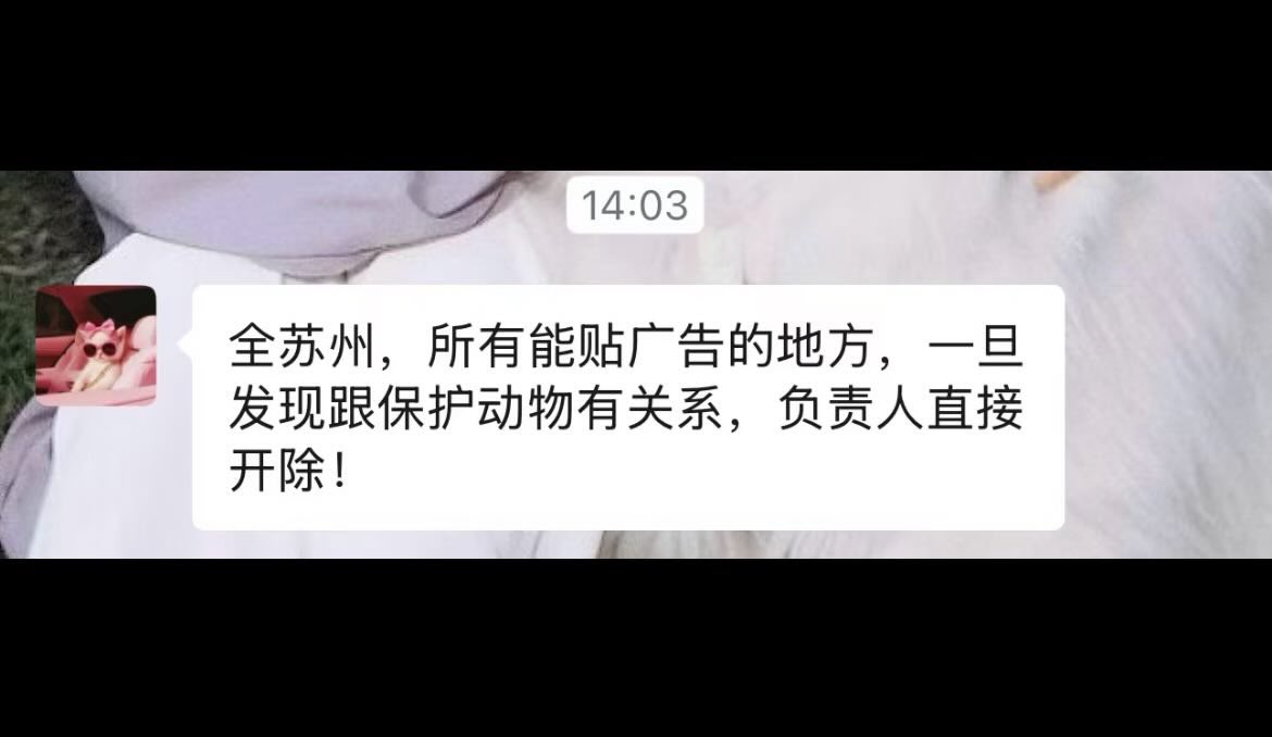 feilung_lau's tweet photo. 中國政府開始干預網店，禁止訂制旺旺圖案的動物保護宣傳品；蘇州市全市禁止動物保護主題的戶外廣告。
#wangwang #旺旺 #動物保護法 https://t.co/TUyWTpIncS