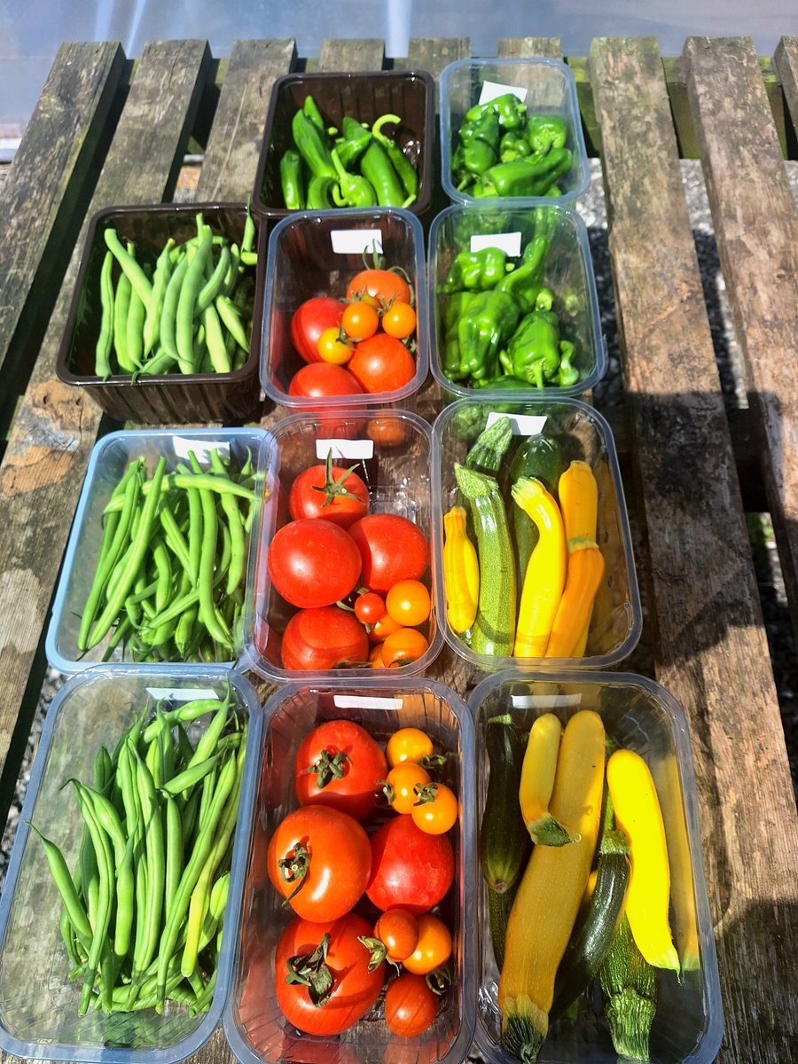 greenfarmherbs's tweet photo. All from seeds I sowed in early spring. Picked and ready for my Bakewell Farmers Market stall in the morning, Saturday July 25th. Pesticide and herbicide free, nothing beats growing your own food #Bakewell #growyourown #derbyshire https://t.co/9l6B4PvBcn