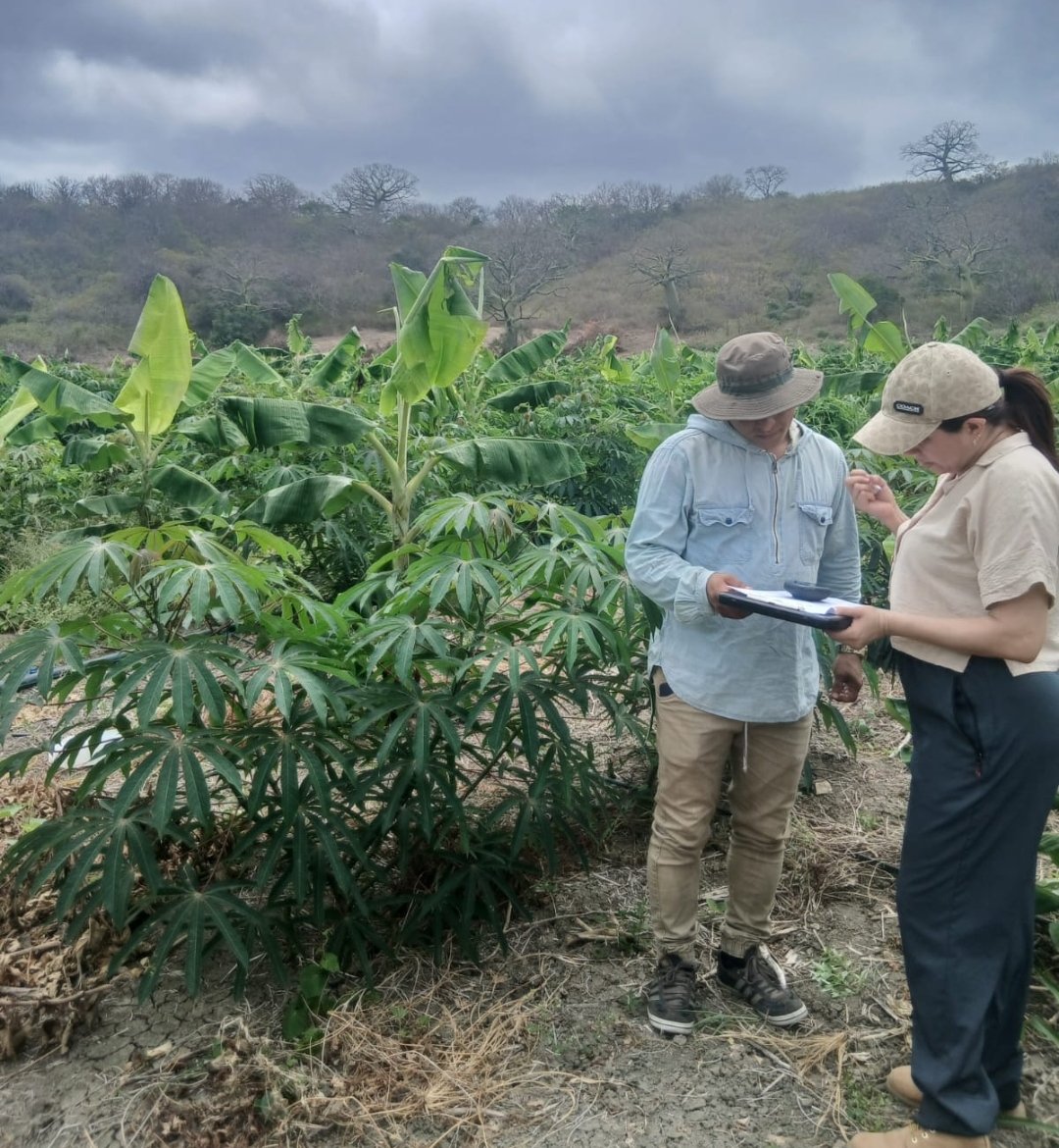Agricultura_CZ4's tweet photo. #Manabí | Realizamos inspecciónes de campo en las zonas rurales de los cantones #Chone, #Rocafuerte y #Montecristi, con el objetivo de corroborar las coordenadas de predios, este es uno de los procesos previos a la adjudicación de escrituras.🇪🇨🇪🇨
#GobiernoDelEcuador https://t.co/z0E9PDHd4U