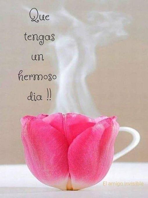 MariaIsabelgas's tweet photo. Buenos días gente linda, feliz fin de semana, saludos 🙋🏻🤗🥰😘💙🌷 https://t.co/WX8LmqmXu7