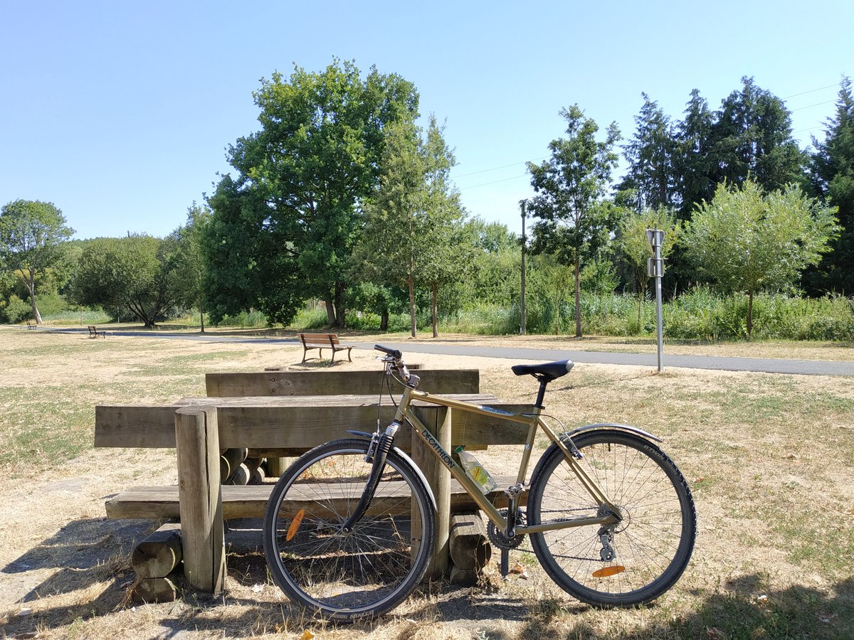 bearwaterfish's tweet photo. Petite sortie vélo du jour. Il fait un peu chaud mais ça fait trop de bien 🥵😁 https://t.co/eU0F1Ofz0x
