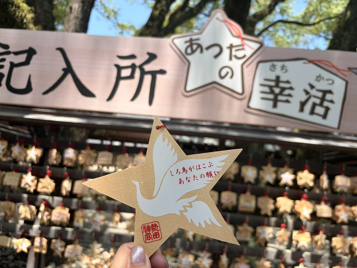 moooooontrip02's tweet photo. あつたの幸活🕊🩵✨ https://t.co/OKiRO4holS
