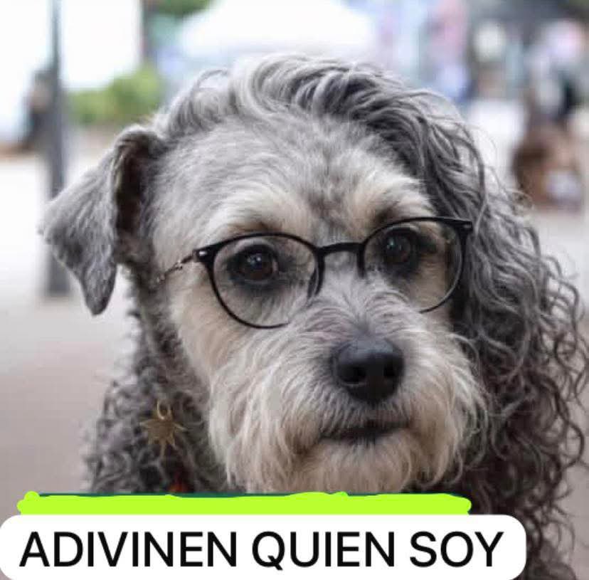 untranseunte's tweet photo. @PizarroMariaJo @jrestrp https://t.co/OoKAMPzimh