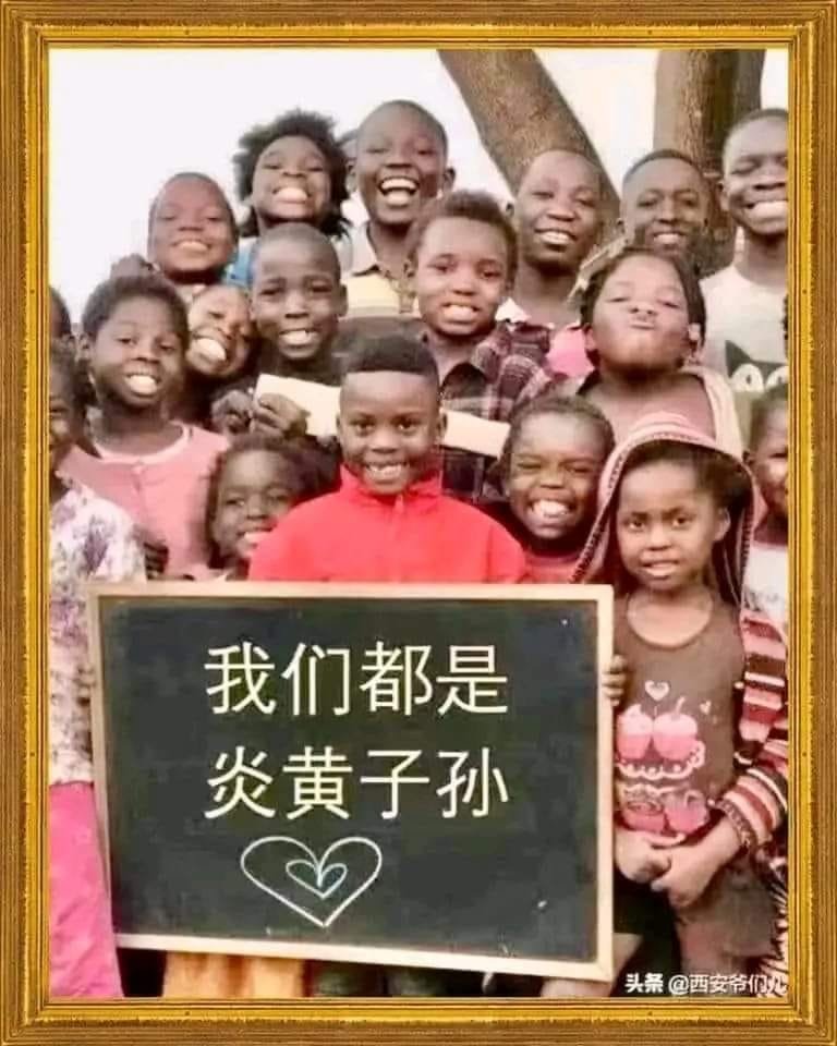 支蛆沒有一個是無辜的! tweet media