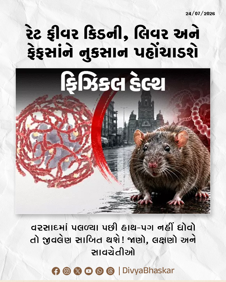 Divya_Bhaskar's tweet photo. ફિઝિકલ હેલ્થ : વરસાદમાં પલળ્યા પછી હાથ-પગ નહીં ધોવો તો જીવલેણ સાબિત થશે! રેટ ફીવર કિડની, લિવર અને ફેફસાંને નુકસાન પહોંચાડશે, લક્ષણો અને સાવચેતીઓ - https://t.co/zl0i81FYEm

#PhysicalHealth #Monsoon #RatFever #Health #Lifestyle https://t.co/nVE6hCQ5W2