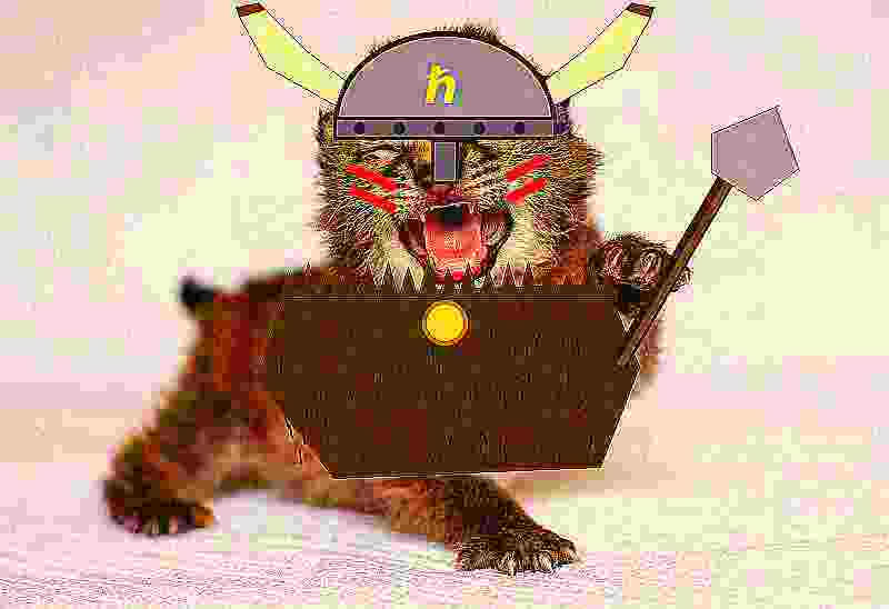 Lynxifyxyz tweet picture