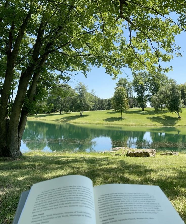 cozyycabin's tweet photo. 🌿🌳🍀 https://t.co/vHSxJHRVrC