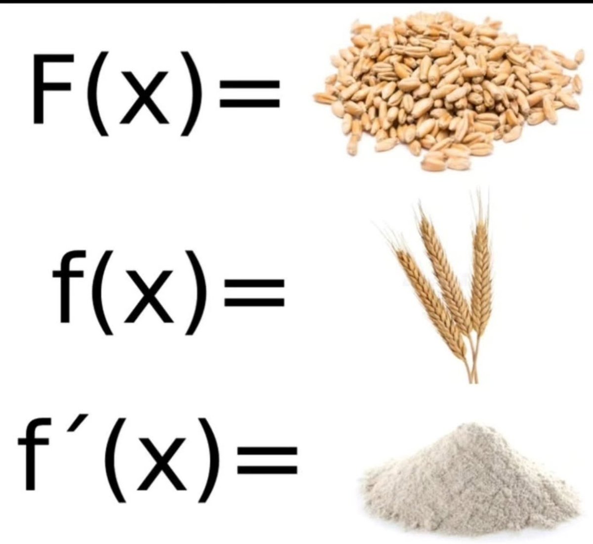 MathGeekDaily tweet media