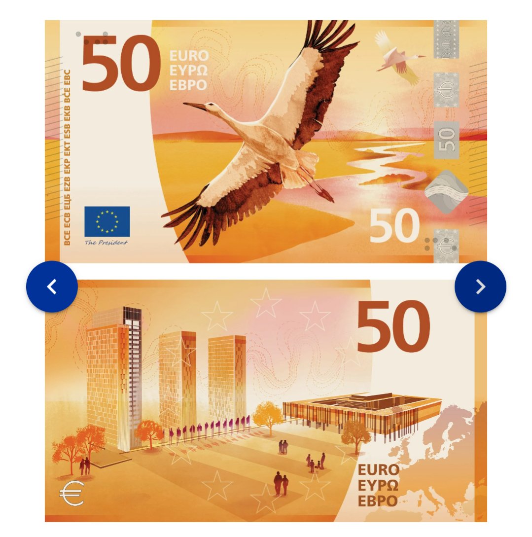 eedsuuz's tweet photo. 🗣️ vote for horizontal bird money 🗣️ https://t.co/B1g5clcx6L