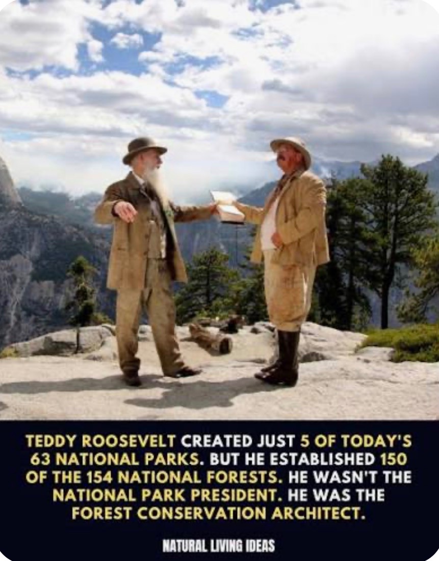 gregstevens64's tweet photo. @WhiteHouse Yet another reason to be like Teddy Roosevelt!

Designate Wild Horse &amp; Burro National Monuments in every western state.

Repeal the Rigged Tax Code.

@POTUS https://t.co/mf6qrCKuus