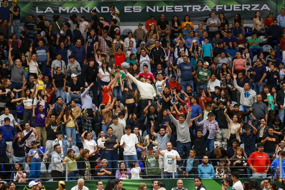armentapuebla_'s tweet photo. ¡Qué partidazo de #LobosPuebla! 🐺🏀

El equipo demostró el cariño y amor por la camiseta, y la afición hizo rugir el Gimnasio Miguel Hidalgo. 🫶🏼✨ https://t.co/bGzS6jihx5