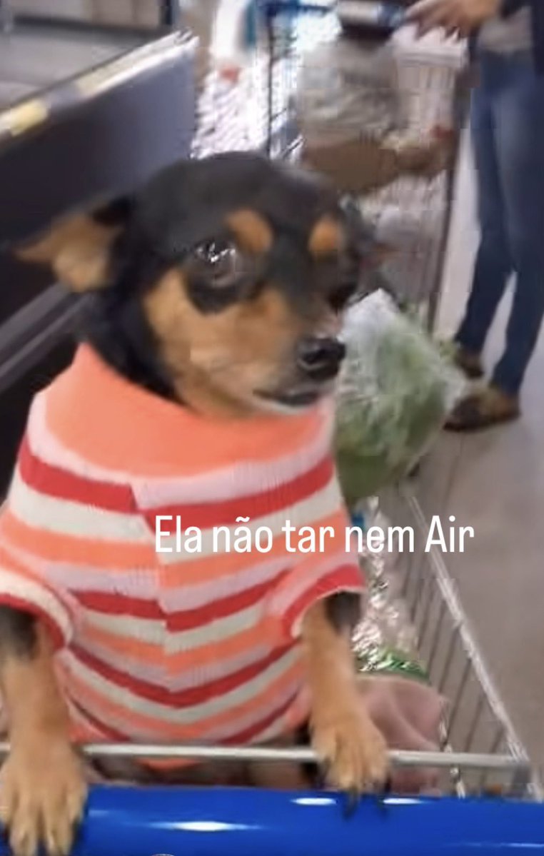 monbebemello07's tweet photo. vou entregar o pior trabalho da minha vida hoje (e olha que eu já fiz brasil I e entreguei atrocidades ! https://t.co/DB6Dqk3kMc