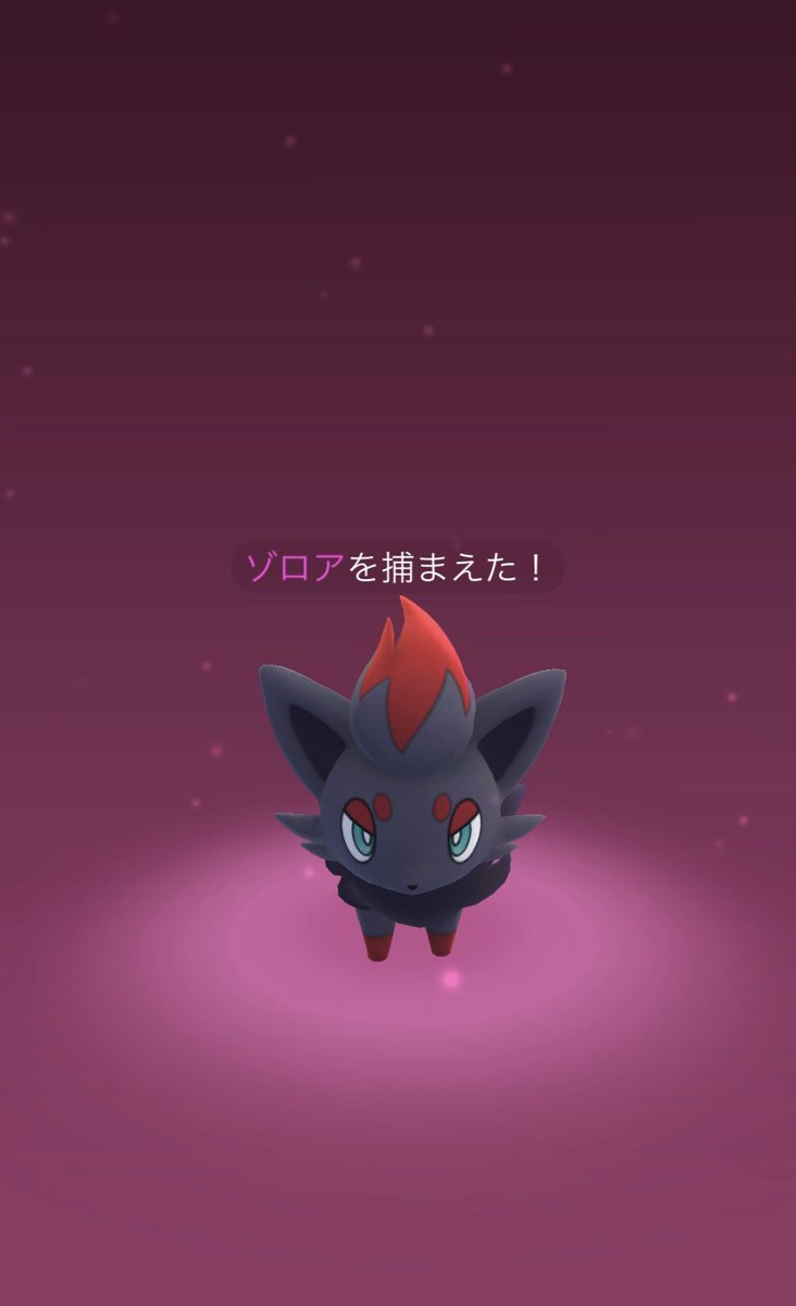 3squrrr's tweet photo. でかいにゃすぱー欲しかった（ꐦ•̀ ̫•́ ) https://t.co/29Z3uJwY6g