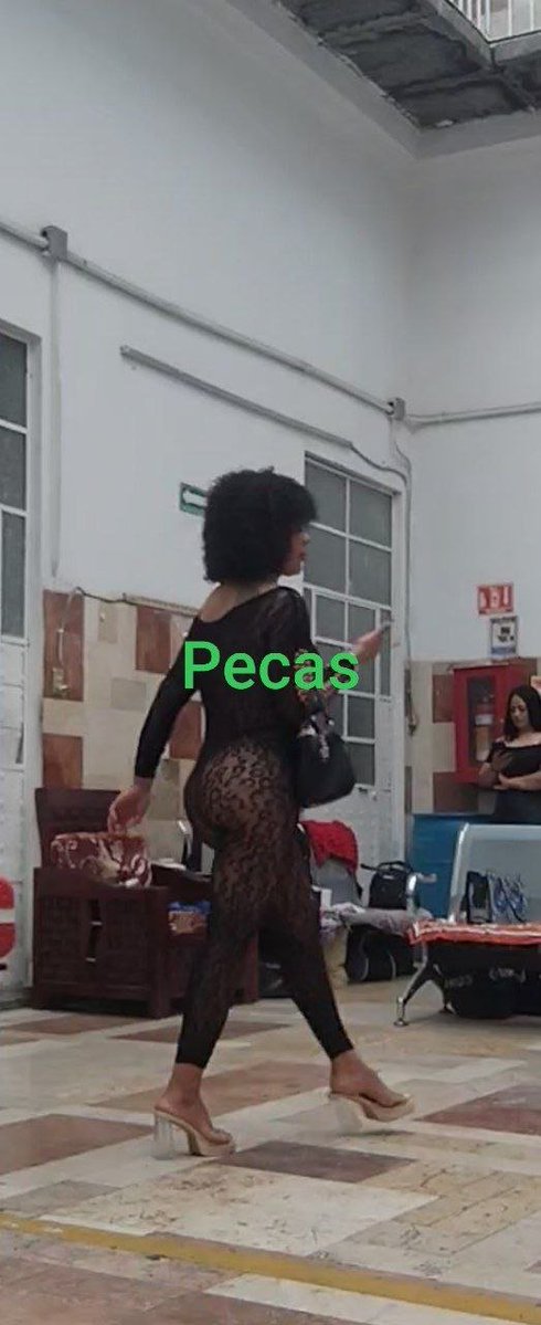 ESEPECAS11's tweet photo. Estrella milf ... Ubicación shalala.... Perrita tuneada demaciado culo para mis huevitos. https://t.co/xelfLceAS2