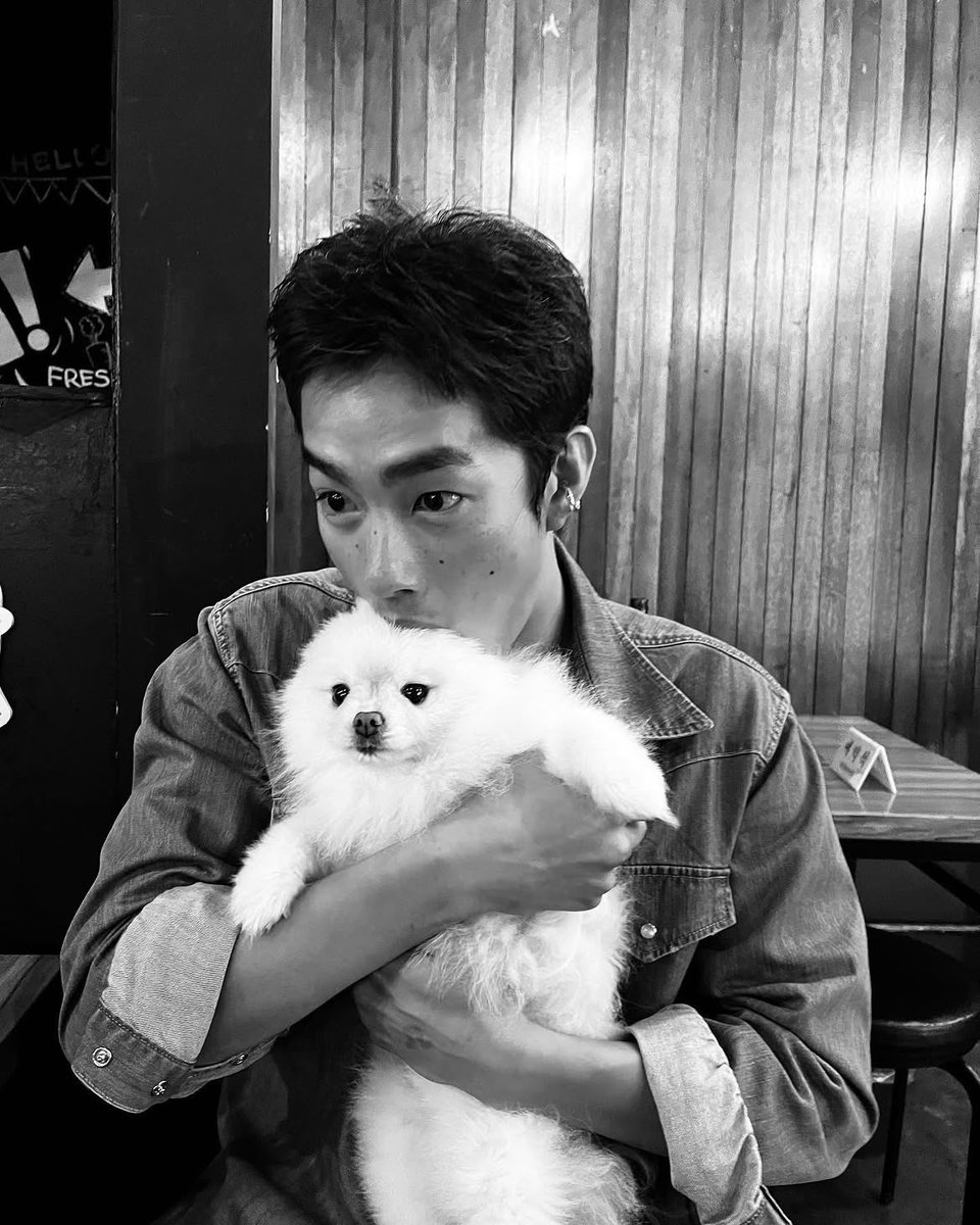 aestasol's tweet photo. what a fluffy cotton ball… i can’t hold back my cuteness aggression at all. https://t.co/WqZ85TaL6G